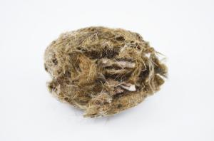 Simulated owl pellet, vole