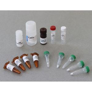 Kit 300 refill components