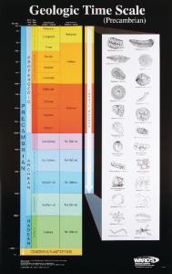 Ward's® Geologic Time Scale Charts