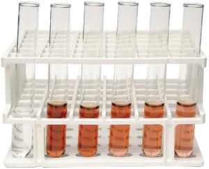 Enzyme Catalysis Lab Activity