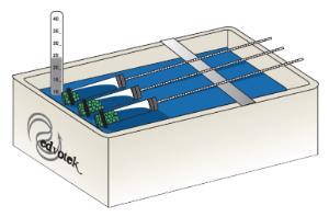 Cellular Respiration Kit