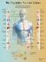 3B Scientific® Vegetative Nervous Chart