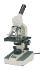 Boreal Standard Compound Microscopes