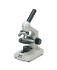 Boreal Science Compound Beginner Microscopes