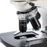 Compound Binocular Microscope