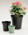 Plastic Flower Pots