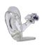 GPI Anatomicals® Clear Ear Model